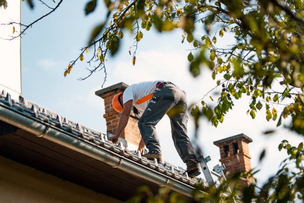 Steel Roofing in Woodbranch, TX