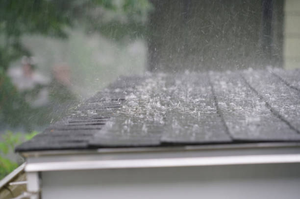 Best Roof Moss and Algae Removal  in Woodbranch, TX