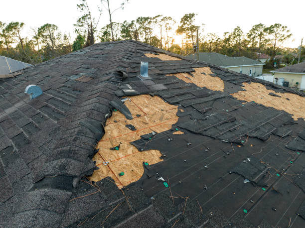 Best Asphalt Shingle Roofing  in Woodbranch, TX